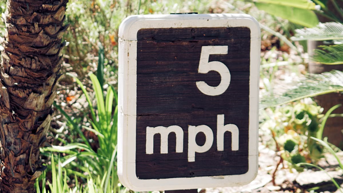 Outdoor 5 mph speed limit sign surrounded by greenery in Silverado, California.
